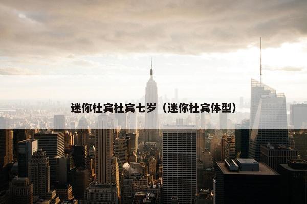 迷你杜宾杜宾七岁(迷你杜宾体型)
