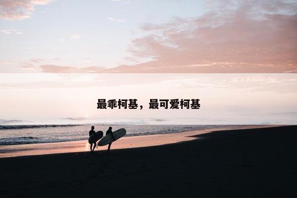 最乖柯基,最可爱柯基