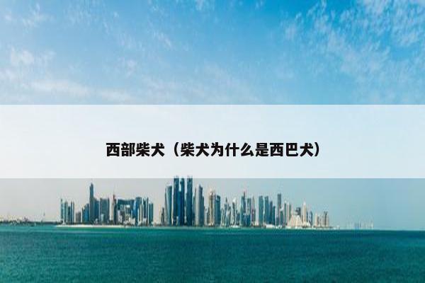 西部柴犬（柴犬为什么是西巴犬）