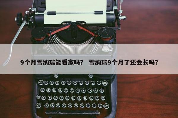 9个月雪纳瑞能看家吗？ 雪纳瑞9个月了还会长吗？