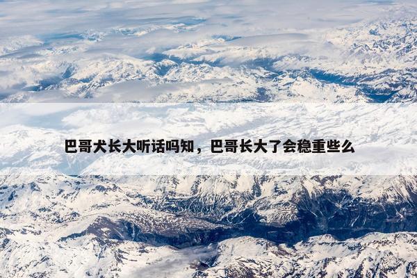 巴哥犬长大听话吗知,巴哥长大了会稳重些么