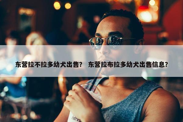 东营拉不拉多幼犬出售？ 东营拉布拉多幼犬出售信息？
