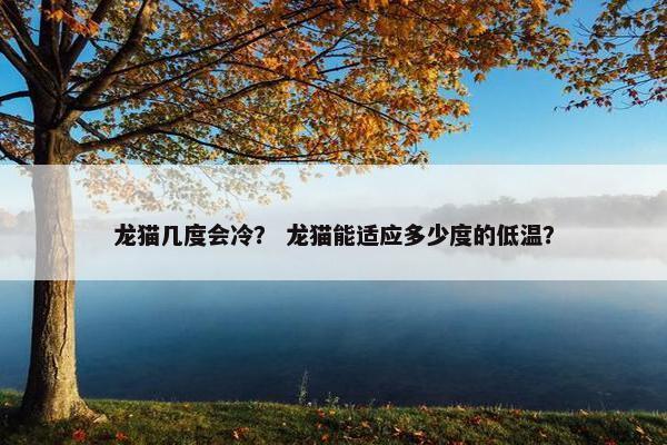 龙猫几度会冷？ 龙猫能适应多少度的低温？