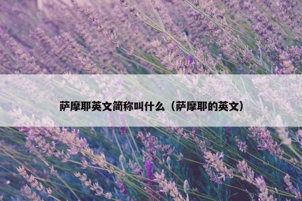 萨摩耶英文简称叫什么（萨摩耶的英文）