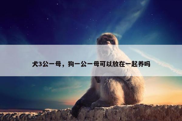 犬3公一母，狗一公一母可以放在一起养吗