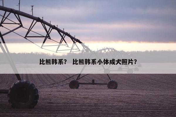 比熊韩系? 比熊韩系小体成犬照片?