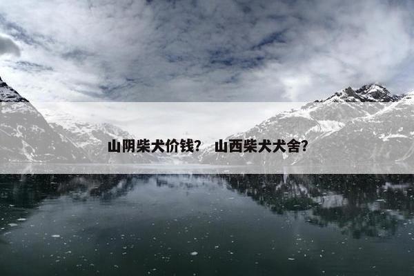 山阴柴犬价钱？ 山西柴犬犬舍？