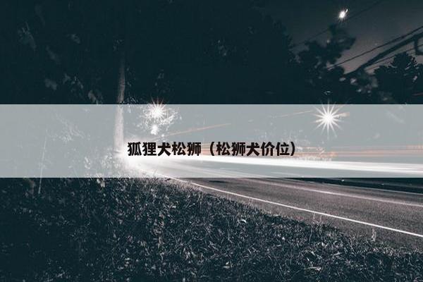 狐狸犬松狮(松狮犬价位)