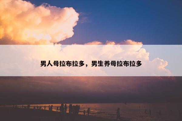 男人母拉布拉多，男生养母拉布拉多