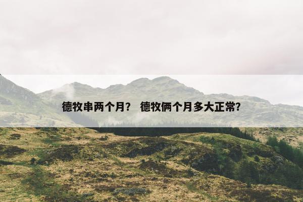 德牧串两个月？ 德牧俩个月多大正常？