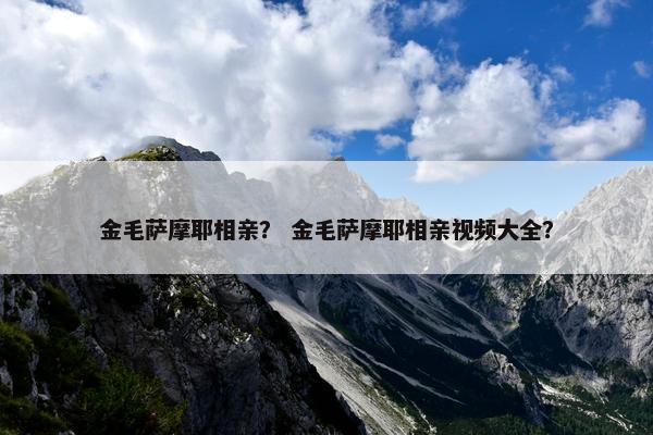 金毛萨摩耶相亲? 金毛萨摩耶相亲视频大全?