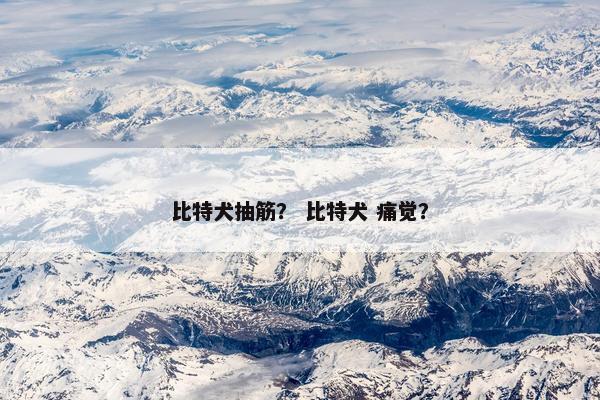 比特犬抽筋？ 比特犬 痛觉？