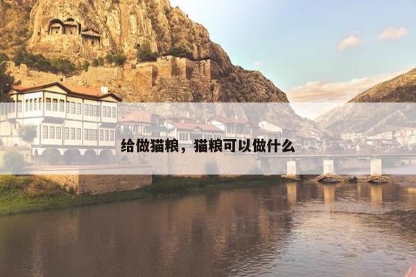 给做猫粮，猫粮可以做什么