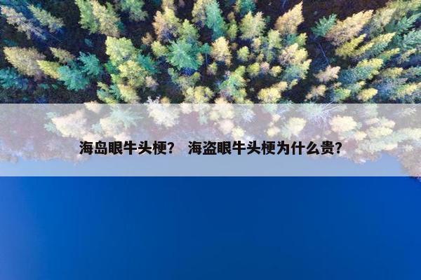 海盗