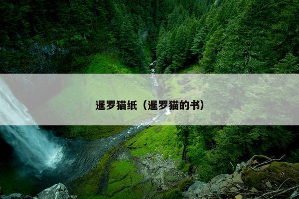 暹罗猫纸（暹罗猫的书）