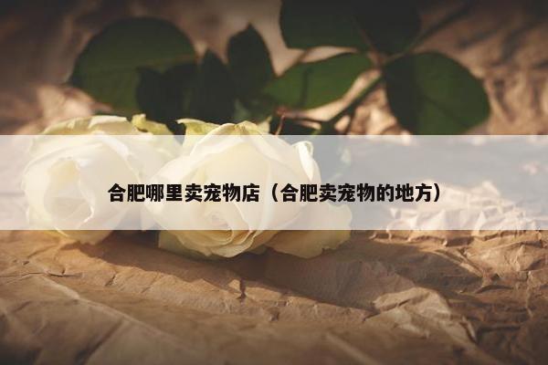 合肥哪里卖宠物店(合肥卖宠物的地方)