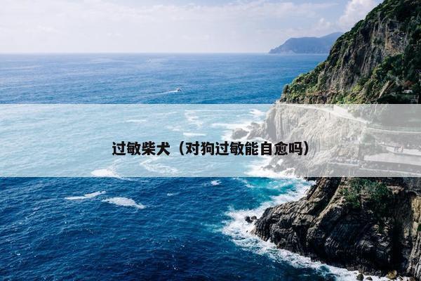 过敏柴犬（对狗过敏能自愈吗）