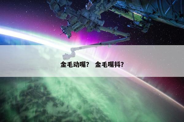 金毛动嘴？ 金毛嘴抖？