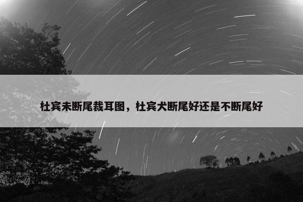 杜宾未断尾裁耳图,杜宾犬断尾好还是不断尾好