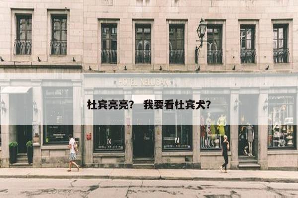 杜宾亮亮? 我要看杜宾犬?