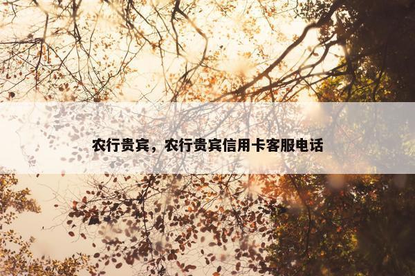 农行贵宾，农行贵宾信用卡客服电话