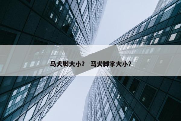 马犬脚大小？ 马犬脚掌大小？