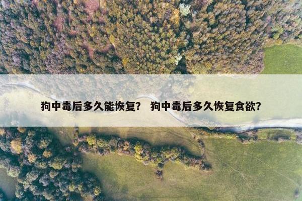 中毒