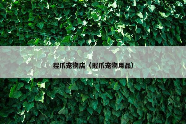 捏爪宠物店(握爪宠物用品)
