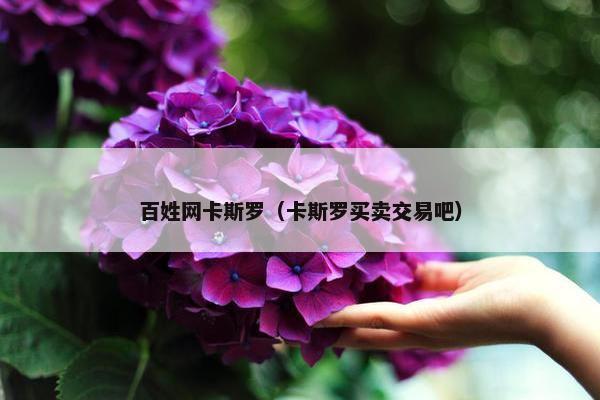 百姓网卡斯罗(卡斯罗买卖交易吧)