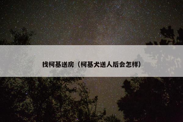 找柯基送房（柯基犬送人后会怎样）