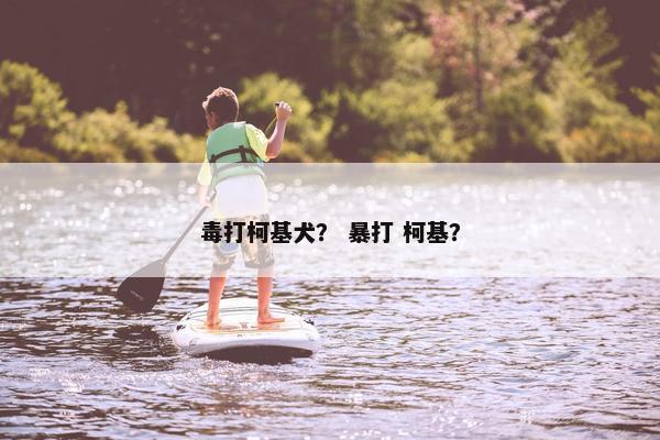 毒打柯基犬？ 暴打 柯基？