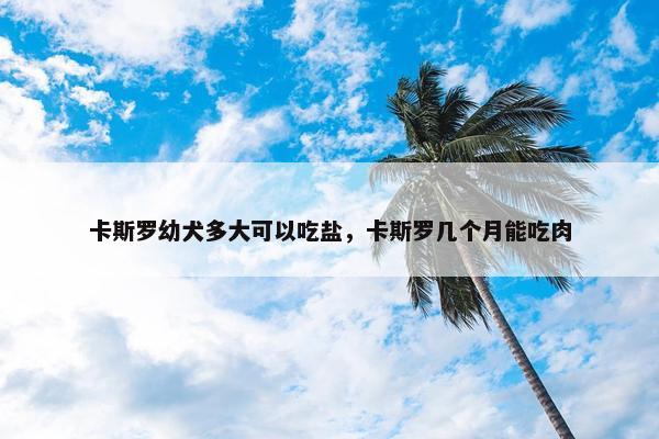 卡斯罗幼犬多大可以吃盐，卡斯罗几个月能吃肉