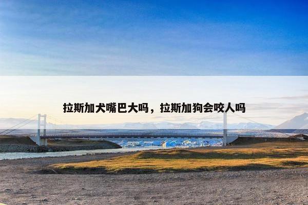 拉斯加犬嘴巴大吗，拉斯加狗会咬人吗