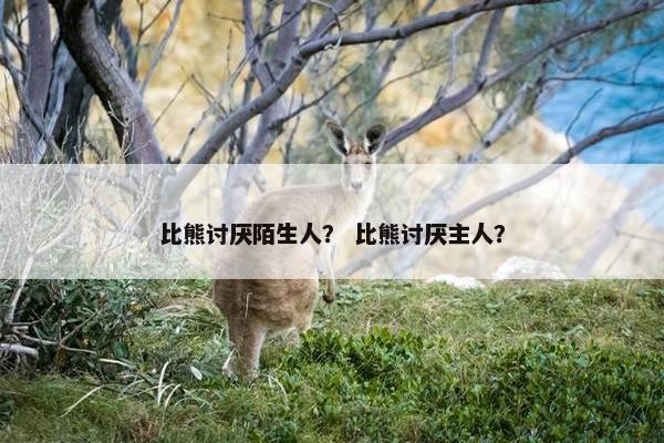 比熊讨厌陌生人？ 比熊讨厌主人？