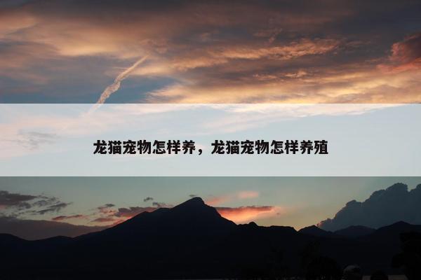 龙猫宠物怎样养，龙猫宠物怎样养殖