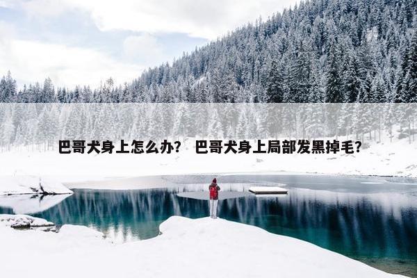 巴哥犬身上怎么办？ 巴哥犬身上局部发黑掉毛？