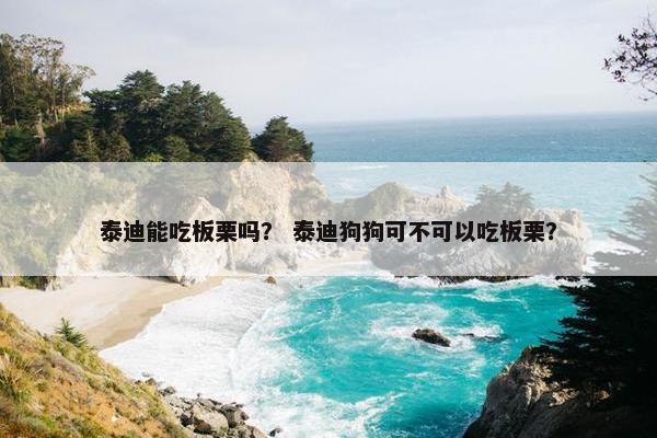 泰迪能吃板栗吗？ 泰迪狗狗可不可以吃板栗？