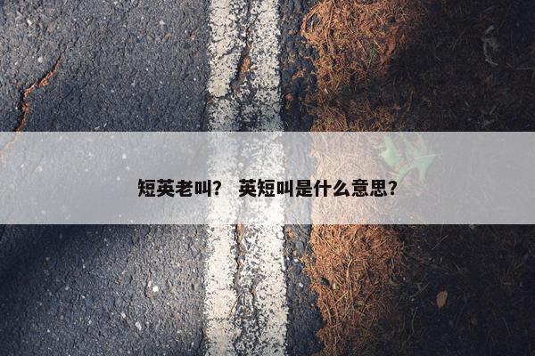 短英老叫? 英短叫是什么意思?