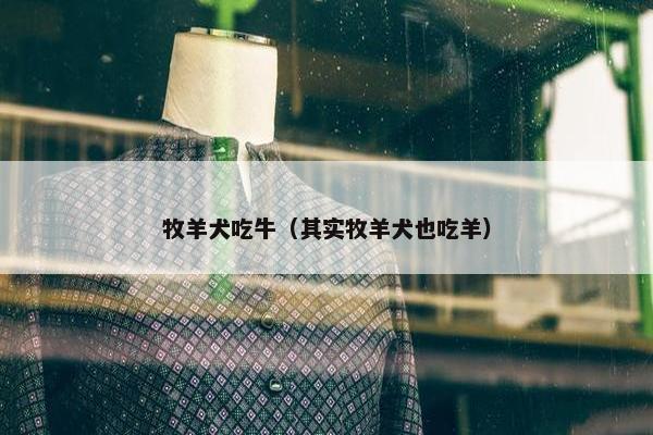 牧羊犬吃牛（其实牧羊犬也吃羊）