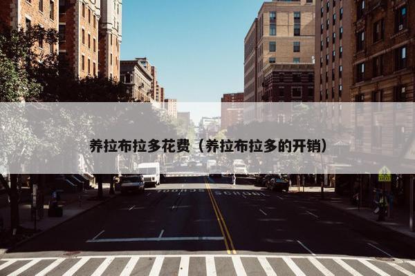 养拉布拉多花费（养拉布拉多的开销）