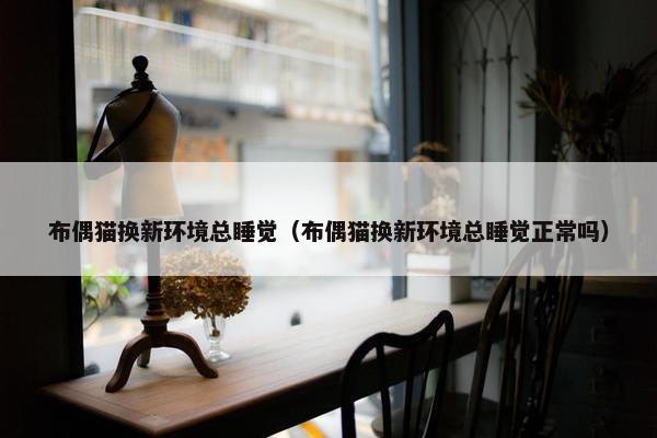布偶猫换新环境总睡觉（布偶猫换新环境总睡觉正常吗）