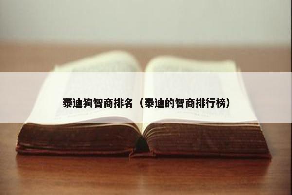 泰迪狗智商排名（泰迪的智商排行榜）