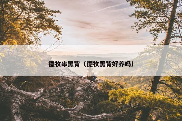 德牧串黑背（德牧黑背好养吗）