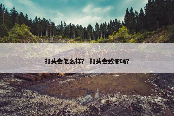 打头会怎么样？ 打头会致命吗？