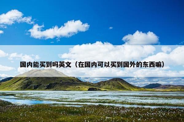 国内能买到吗英文（在国内可以买到国外的东西嘛）