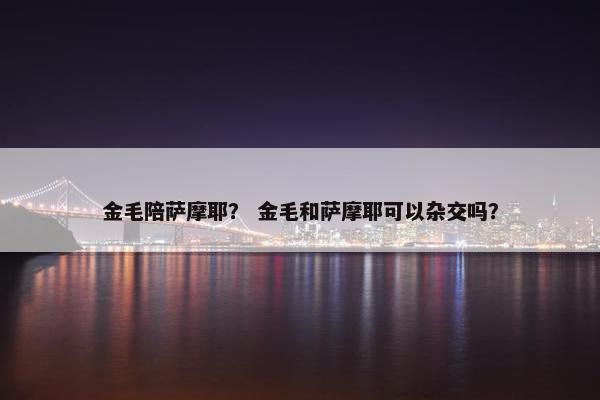 金毛陪萨摩耶？ 金毛和萨摩耶可以杂交吗？