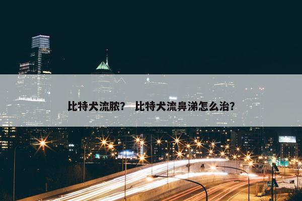 比特犬流脓? 比特犬流鼻涕怎么治?