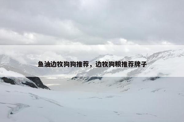鱼油边牧狗狗推荐，边牧狗粮推荐牌子