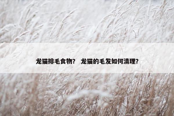 龙猫排毛食物？ 龙猫的毛发如何清理？