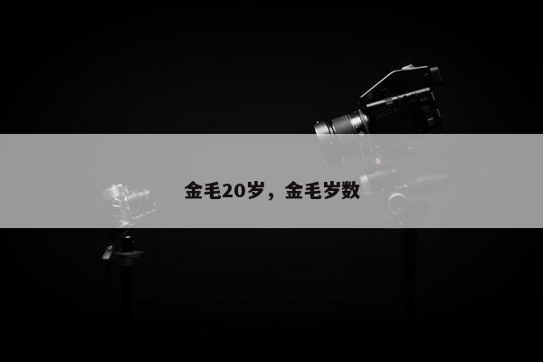 金毛20岁,金毛岁数